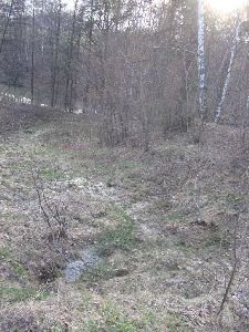 petrovice211.jpg