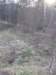 petrovice211_small.jpg
