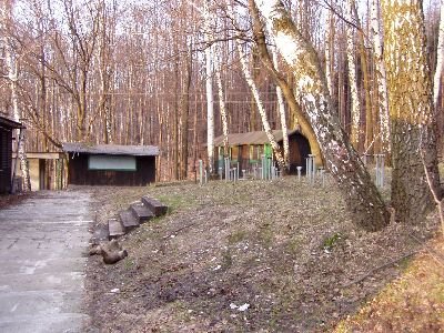 petroviced12.jpg